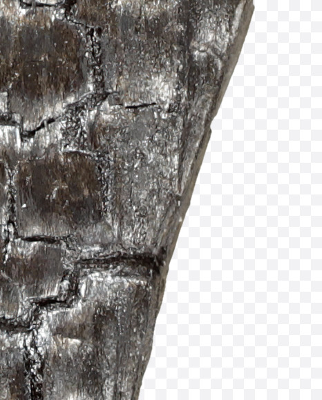 7 from Black Coal Font on Yellow Images Creative Fonts - S27763