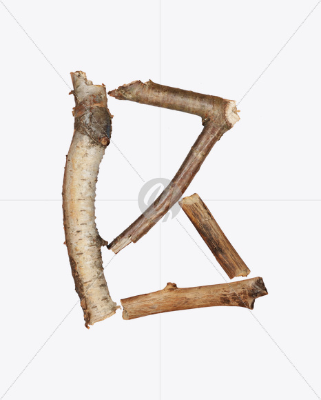 Letter B from Dry Twigs Font on Yellow Images Creative Fonts - S16797