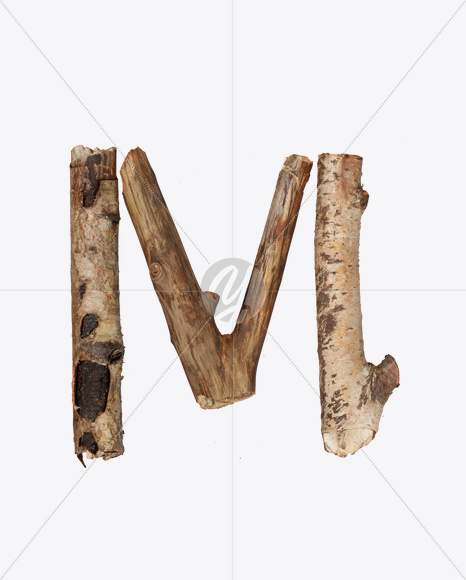 Letter M from Dry Twigs Font on Yellow Images Creative Fonts - S16808