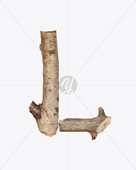 Letter L from Dry Twigs Font on Yellow Images Creative Fonts - S16807