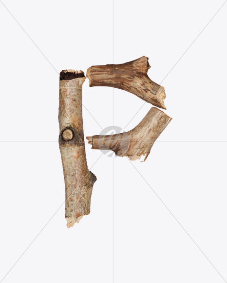 Letter P from Dry Twigs Font on Yellow Images Creative Fonts - S16811