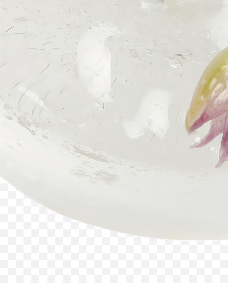 5 from Ice and Flowers Font on Yellow Images Creative Fonts - S19168