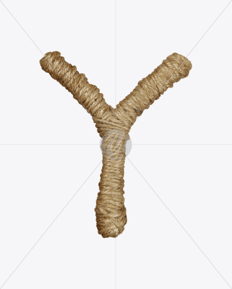 Y