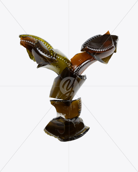 Y