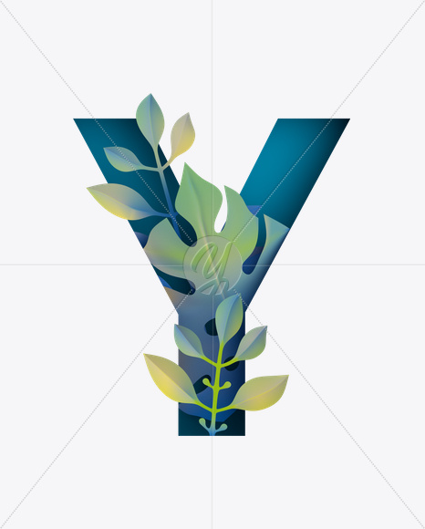 Y