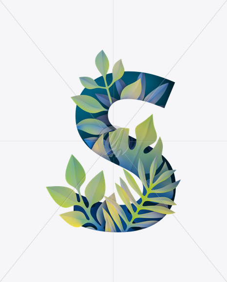 S