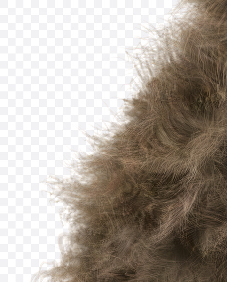 Letter Z from Teddy Bear Font on Yellow Images Creative Fonts - S22205