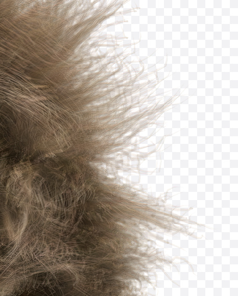 Letter O from Teddy Bear Font on Yellow Images Creative Fonts - S22194