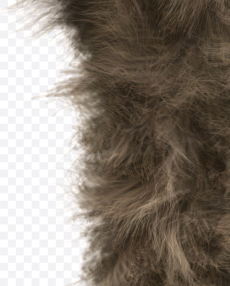 Letter Y from Teddy Bear Font on Yellow Images Creative Fonts - S22204