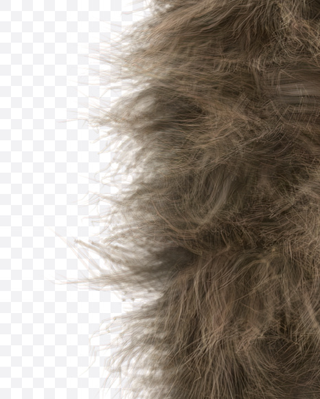 Letter N from Teddy Bear Font on Yellow Images Creative Fonts - S22193