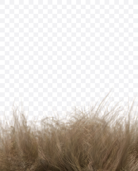 Letter R from Teddy Bear Font on Yellow Images Creative Fonts - S22197