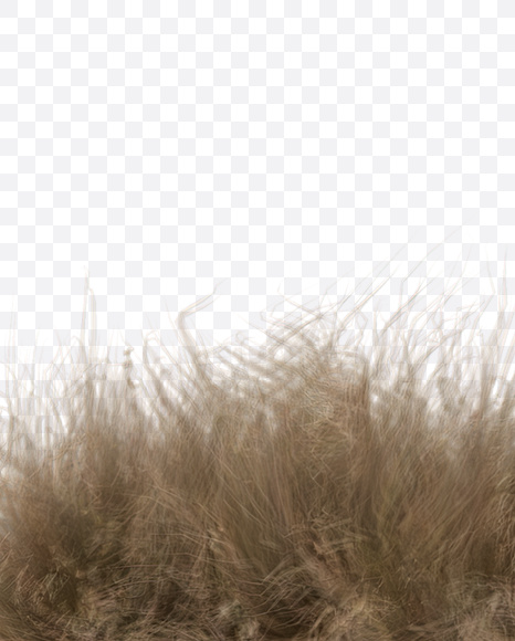 Letter B from Teddy Bear Font on Yellow Images Creative Fonts - S22181