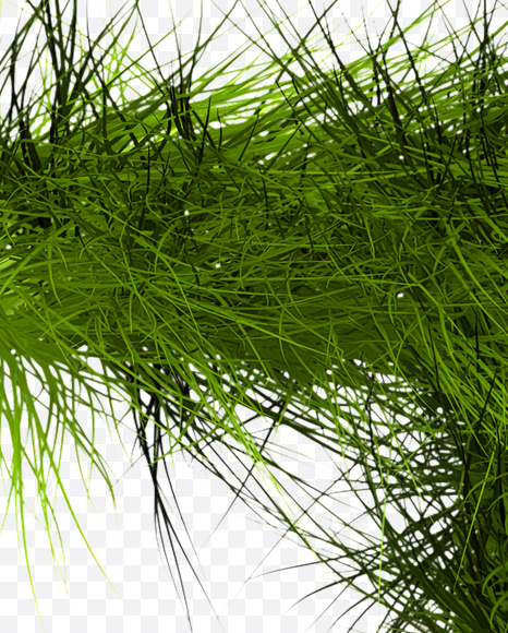 Letter T from Grass Font on Yellow Images Creative Fonts - S22787