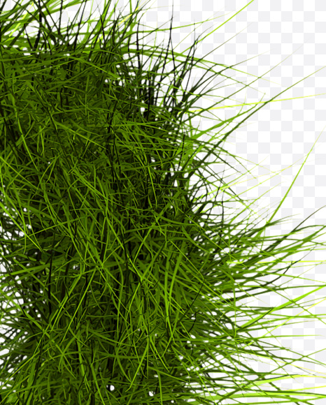 ? from Grass Font on Yellow Images Creative Fonts - S22805