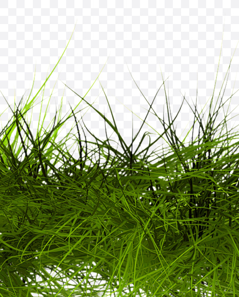 Letter O from Grass Font on Yellow Images Creative Fonts - S22782