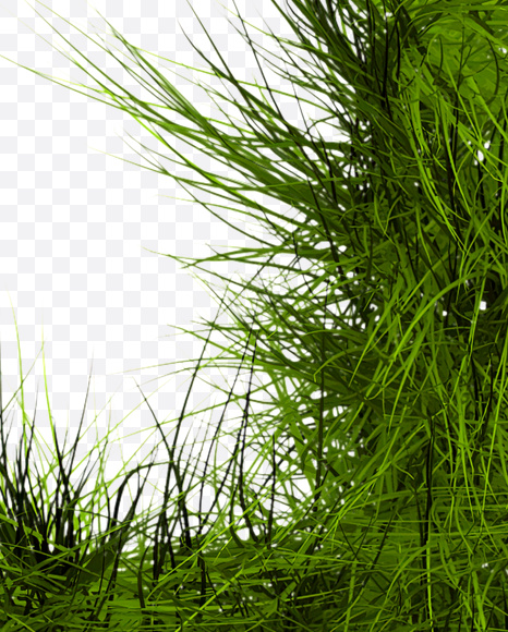 + from Grass Font on Yellow Images Creative Fonts - S22807