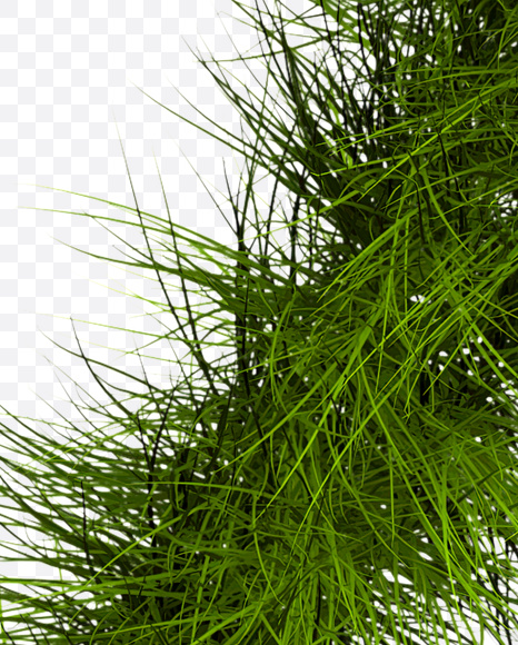 Letter X from Grass Font on Yellow Images Creative Fonts - S22791