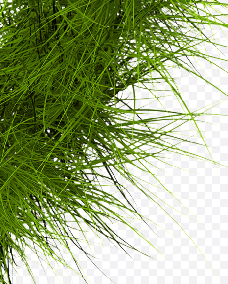 0 from Grass Font on Yellow Images Creative Fonts - S22803