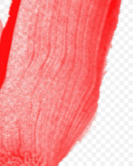 Letter V from Blood Font on Yellow Images Creative Fonts - S22922