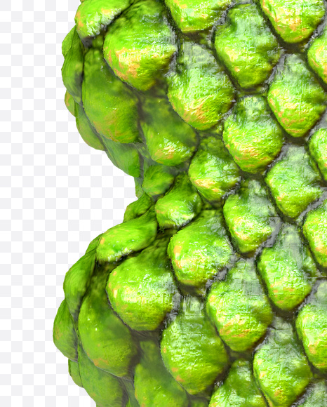 euro from Dragon Skin Font on Yellow Images Creative Fonts - S23311