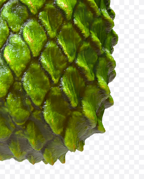 Letter R from Dragon Skin Font on Yellow Images Creative Fonts - S23288