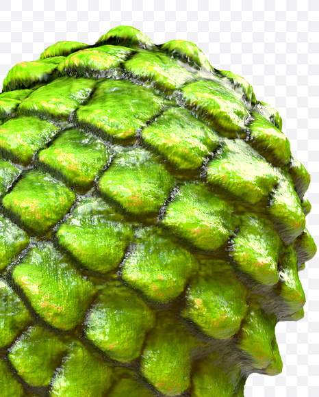 Punctuation marks 2 from Dragon Skin Font on Yellow Images Creative Fonts - S23313