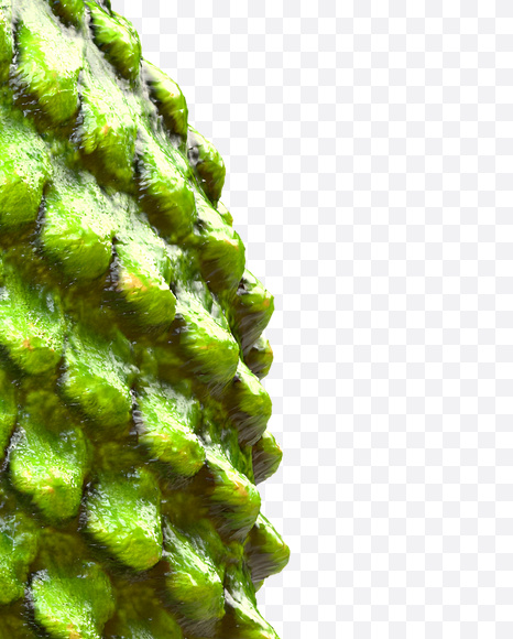 3 from Dragon Skin Font on Yellow Images Creative Fonts - S23299