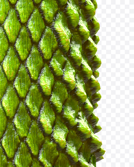 Letter I from Dragon Skin Font on Yellow Images Creative Fonts - S23279