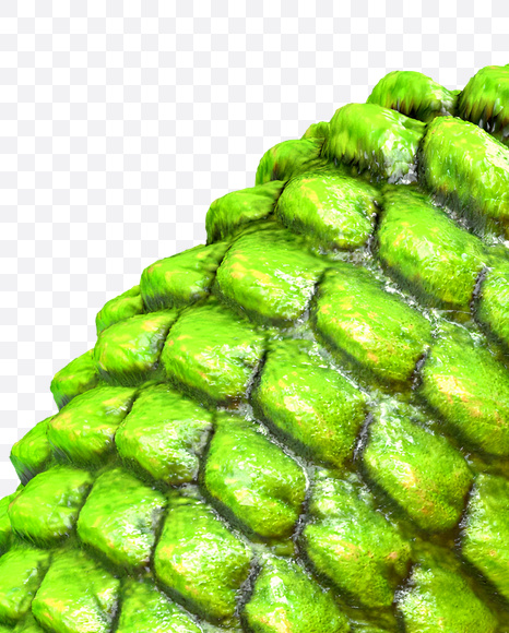 Letter K from Dragon Skin Font on Yellow Images Creative Fonts - S23281