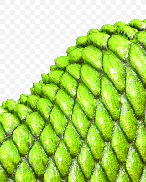 1 from Dragon Skin Font on Yellow Images Creative Fonts - S23297