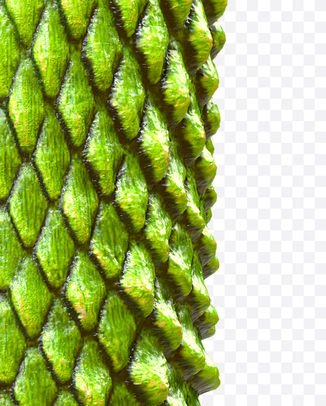 ! from Dragon Skin Font on Yellow Images Creative Fonts - S23307