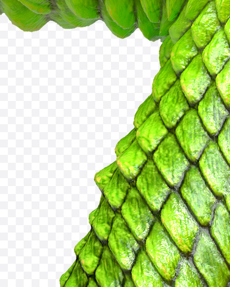 Letter Z from Dragon Skin Font on Yellow Images Creative Fonts - S23296