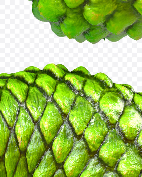 6 from Dragon Skin Font on Yellow Images Creative Fonts - S23302