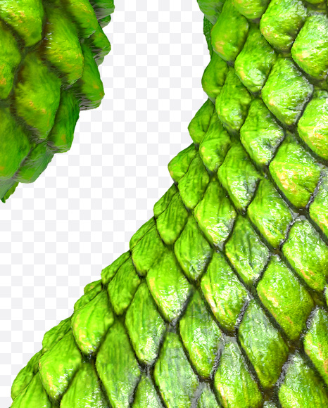 _ from Dragon Skin Font on Yellow Images Creative Fonts - S23308