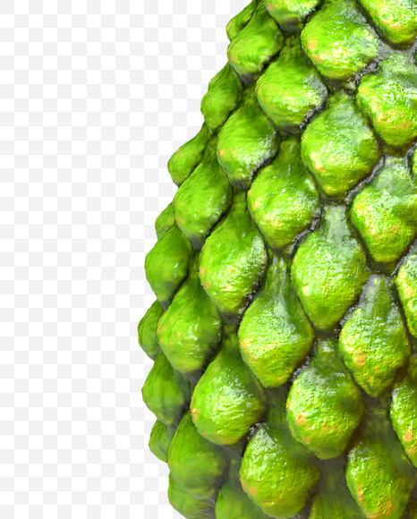 4 from Dragon Skin Font on Yellow Images Creative Fonts - S23300