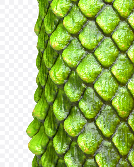 Letter T from Dragon Skin Font on Yellow Images Creative Fonts - S23290