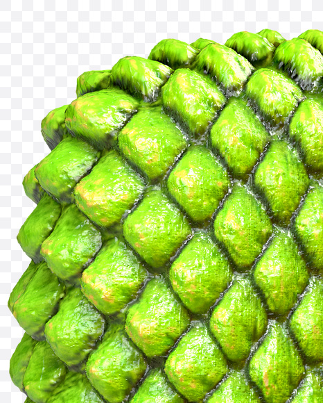 Letter L from Dragon Skin Font on Yellow Images Creative Fonts - S23282