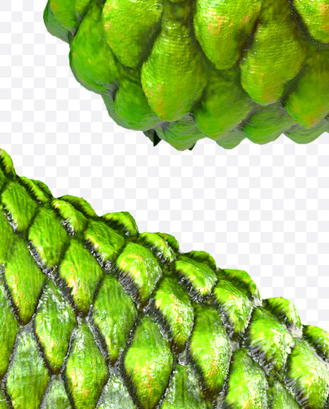 Letter S from Dragon Skin Font on Yellow Images Creative Fonts - S23289