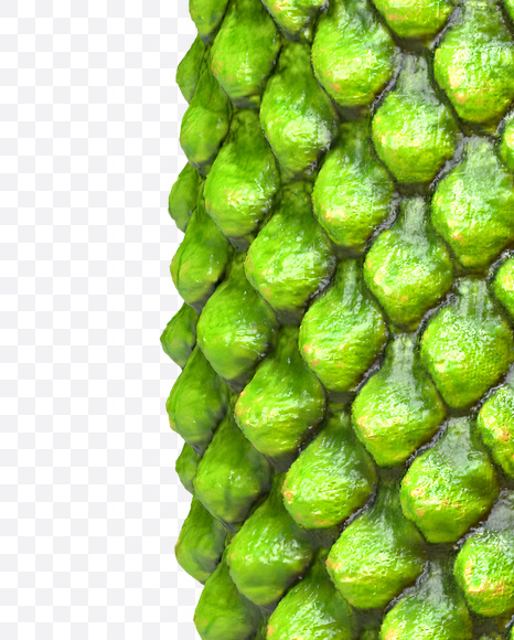 Letter G from Dragon Skin Font on Yellow Images Creative Fonts - S23277