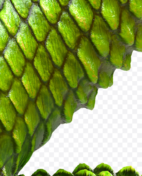 2 from Dragon Skin Font on Yellow Images Creative Fonts - S23298