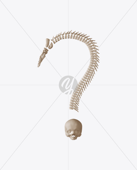 ? from Skeleton Font on Yellow Images Creative Fonts - S23379