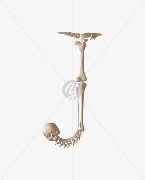 Letter J from Skeleton Font on Yellow Images Creative Fonts - S23361