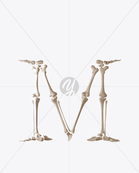 Letter M from Skeleton Font on Yellow Images Creative Fonts - S23364