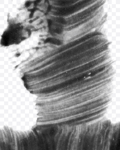 4 from Black brush Font on Yellow Images Creative Fonts - S23721