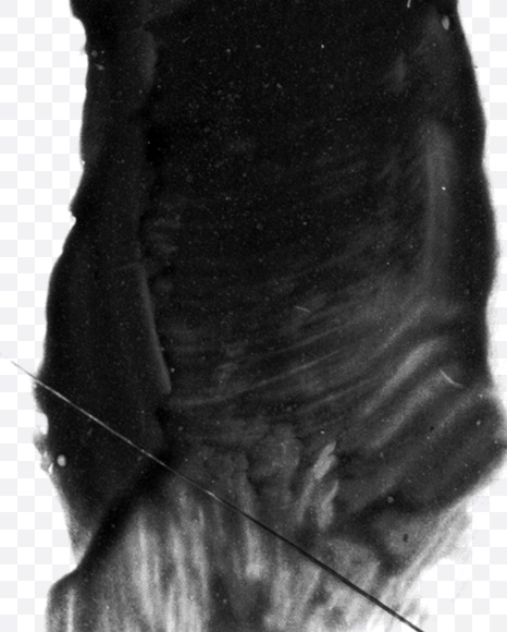 1 from Black brush Font on Yellow Images Creative Fonts - S23718