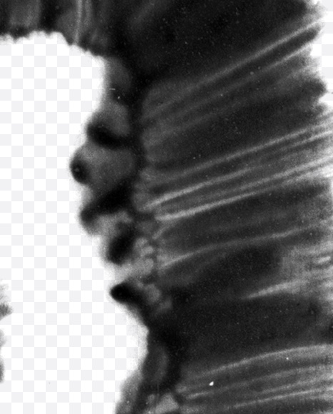 Letter P from Black brush Font on Yellow Images Creative Fonts - S23707