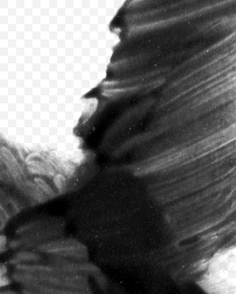 Letter Q from Black brush Font on Yellow Images Creative Fonts - S23708