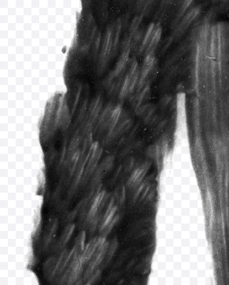 Letter W from Black brush Font on Yellow Images Creative Fonts - S23714