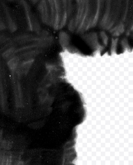 Letter T from Black brush Font on Yellow Images Creative Fonts - S23711