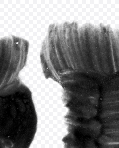 Letter H from Black brush Font on Yellow Images Creative Fonts - S23699